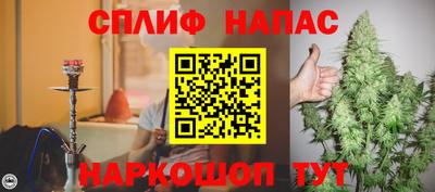 сатива Краснознаменск