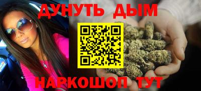 сатива Краснознаменск