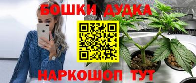 сатива Краснознаменск