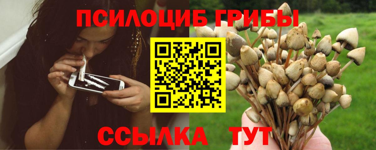 Галлюциногенные грибы Psilocybine cubensis  Вход с VPN  Кинель  Галлюциногенные грибы MAGIC MUSHROOMS 